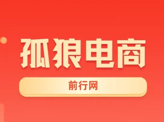 孤狼电商VIP教程