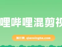 哔哩哔哩混剪与知识星球：创业粉引流课程