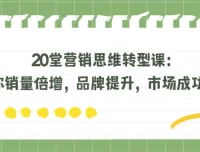 20堂营销思维转型课：助力销量倍增、品牌提升与市场突围