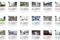 一只小短短舞蹈视频合集