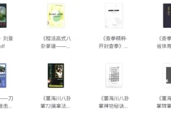 武术经典著作合集：领略中华武术精髓