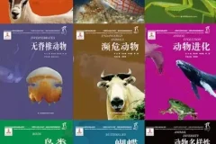 《国家动物博物馆馆藏珍品：野生动物保护科普丛书》