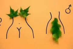 性科学经典书籍合集：深入探索人类性健康与幸福领域