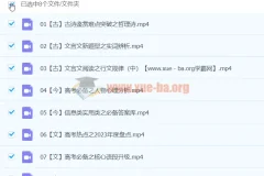 高三高考语文马一鸣寒假班