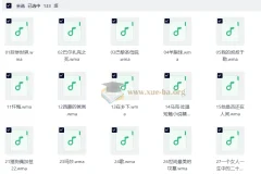100部经典世界名著名家讲堂精华版音频