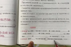 三年级阅读理解62篇精讲与真题训练