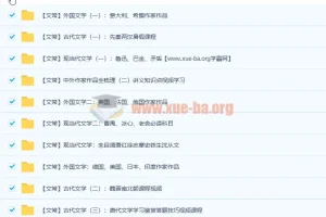 达吾力江文学常识专题课11讲（含讲义）