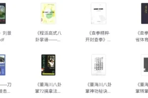 武术经典著作合集：领略中华武术精髓