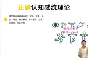 高效学习秘籍：状元方法论与认知提升