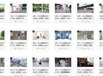 一只小短短舞蹈视频合集