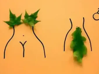 性科学经典书籍合集：深入探索人类性健康与幸福领域