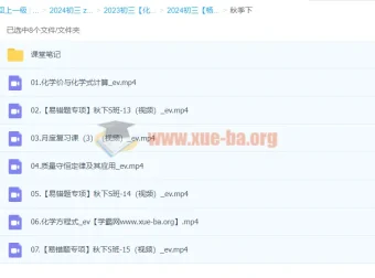 2024初三中考化学杨雯智S秋季班（下）