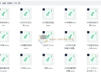 100部经典世界名著名家讲堂精华版音频