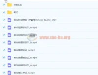 李雪东初二物理暑假精英班课程（9讲带讲义完结）