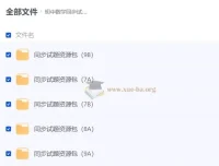 人教版初中数学同步试题资源包
