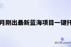 五月新出蓝海项目一键托管课程：躺赚收益分成