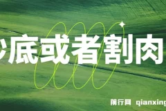 付费文章：抄底或割肉？“雷劈现场论”VS“活着下注论”