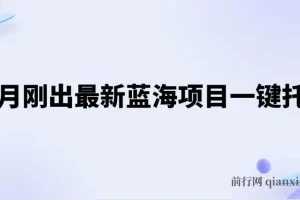 五月新出蓝海项目一键托管课程：躺赚收益分成