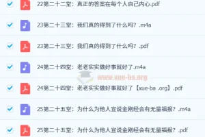 费勇讲33堂金刚经修心课