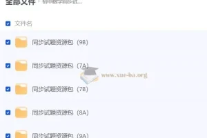 人教版初中数学同步试题资源包