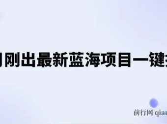 五月新出蓝海项目一键托管课程：躺赚收益分成