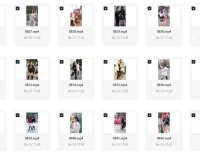 美女街头随拍视频素材集合