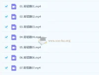 瓶子老师初中英语语法易错题300题视频讲解课