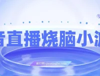 抖音烧脑小游戏直播：宝妈上班族的副业新选择