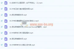 柳宁初三语文春季冲顶班