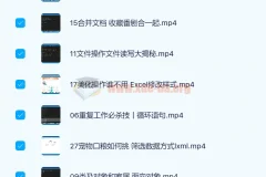 Python实战精讲：萌新系统入门课程