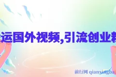 搬运国外视频引流创业粉项目及人性秘术·强势文化课程