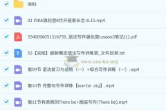 皮卡褚英语《超新概念语法写作训练营》