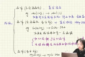 张梅高考化学二轮冲刺班：金属非金属、离子反应、电化学专题