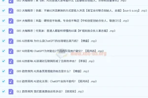 AI实践真知课（31集全）