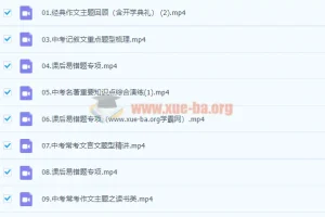 柳宁初三语文春季冲顶班