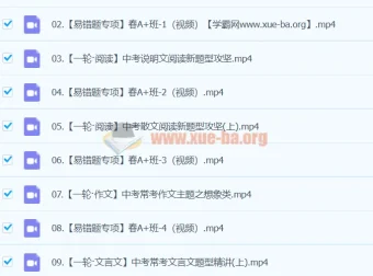 2024初三中考语文何铮铮寒假班