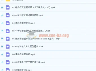 柳宁初三语文春季冲顶班