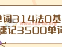 单词314法：0基础速记3500单词课程