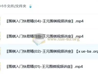 《围棋入门快易精》——王元围棋视频讲座