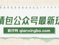 表情包公众号玩法：小白与学生党的快速变现之选