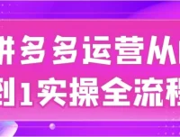 拼多多运营从0到1实操全流程课程