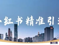 小红书精准引流：减肥、祛痘、创业粉单人日引100+