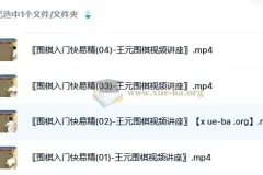 《围棋入门快易精》——王元围棋视频讲座