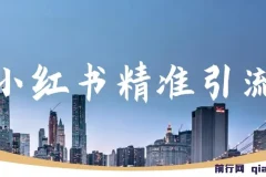 小红书精准引流：减肥、祛痘、创业粉单人日引100+