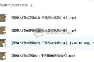 《围棋入门快易精》——王元围棋视频讲座