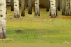 土豆逗野外生存指南：掌握10大绝境自救技巧