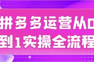 拼多多运营从0到1实操全流程课程