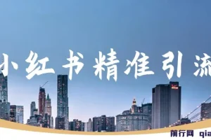 小红书精准引流：减肥、祛痘、创业粉单人日引100+