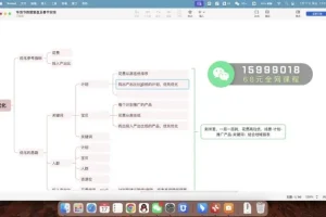 钉钉电商运营：无界推广、搜索流量与大促实战课程