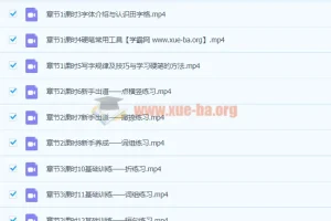 程诚《14天硬笔楷书基本功》课程